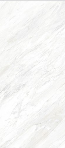 VCC M126P830B (����) ��ǥ�̹���