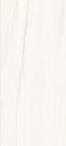 VCC CBP-5688CM (����) ��ǥ�̹���