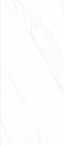 VCC TPGR26017 (����) ��ǥ�̹���