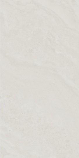 VCC PN918061(��ÿ���) (����) ��ǥ�̹���