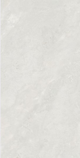 VCC PN918051S (����) ��ǥ�̹���