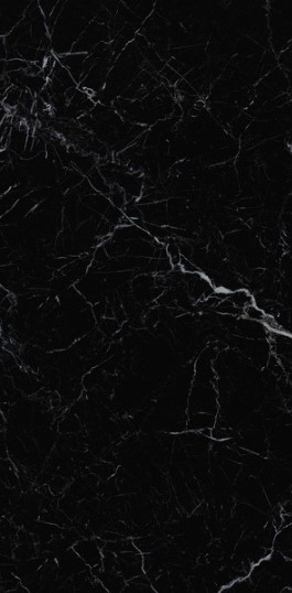 VCC PN918010S (����) ��ǥ�̹���