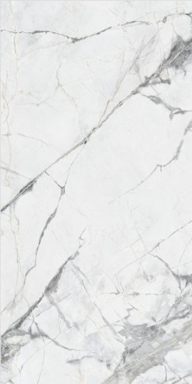 VCC RD189P011 (����) ��ǥ�̹���