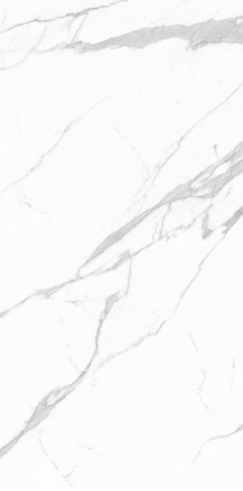 VCC EQ 189P 107 (����) ��ǥ�̹���