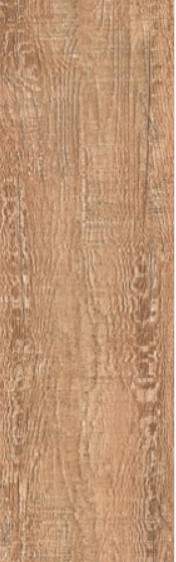 VCC615D02 ��ǥ�̹���