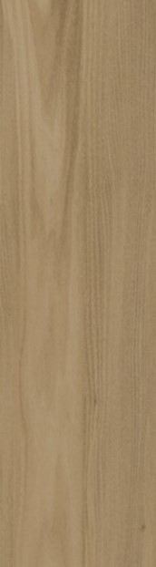 VCC 915301-G (����) ��ǥ�̹���