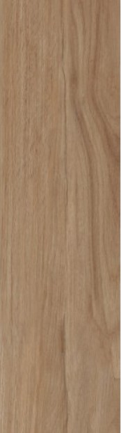 VCC 91536-G (����) ��ǥ�̹���