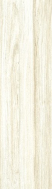 VCC 159-1011 (����) ��ǥ�̹���