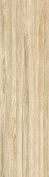 VCC 159-1012 (����) ��ǥ�̹���