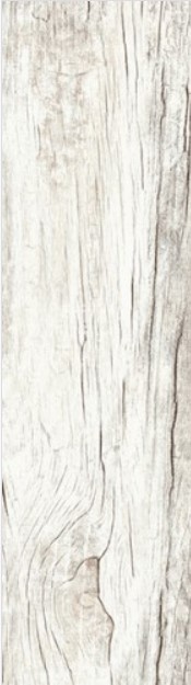 VCC 159-2001 (����) ��ǥ�̹���