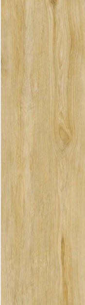 VCC HCG 915008 (����) ��ǥ�̹���