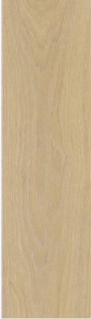 VCC ICGS 915006 (����) ��ǥ�̹���