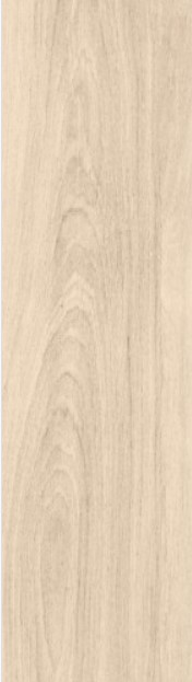 VCC PN12202 (����) ��ǥ�̹���