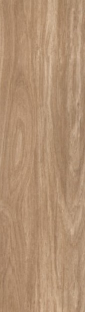 VCC PN12203 (����) ��ǥ�̹���