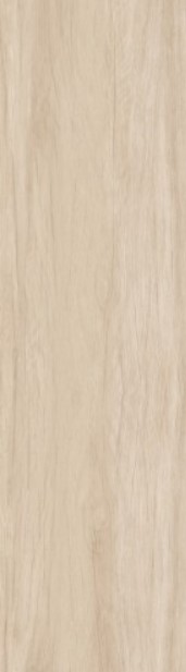 VCC RMW12261 ��ǥ�̹���