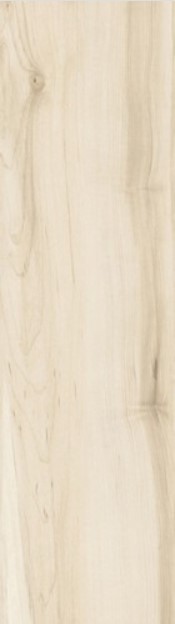 VCC RMW12273 ��ǥ�̹���