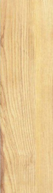 VCC MLP122Y01 ��ǥ�̹���