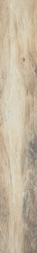 VCC MLP1820W01 ��ǥ�̹���