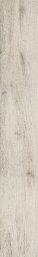 VCC MLP1820W02 ��ǥ�̹���