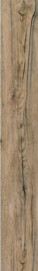 VCC TP1820W15 ��ǥ�̹���