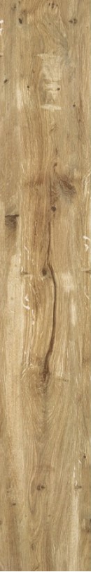 VCC MLP 1830W01E (����) ��ǥ�̹���