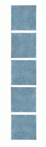 VCC RM1505 (����) ��ǥ�̹���