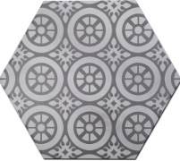 VCC234 (����) ��ǥ�̹���