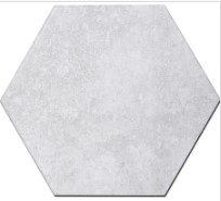 VCC231 (����) ��ǥ�̹���