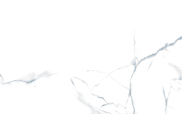 BT WK 2337 ��ǥ�̹���