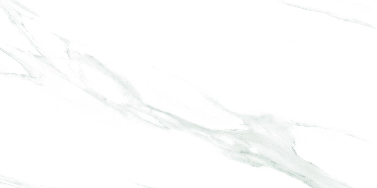 BT WM 37009 ��ǥ�̹���