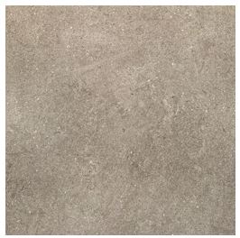 HS ��ٺ��� ��ǥ�̹���